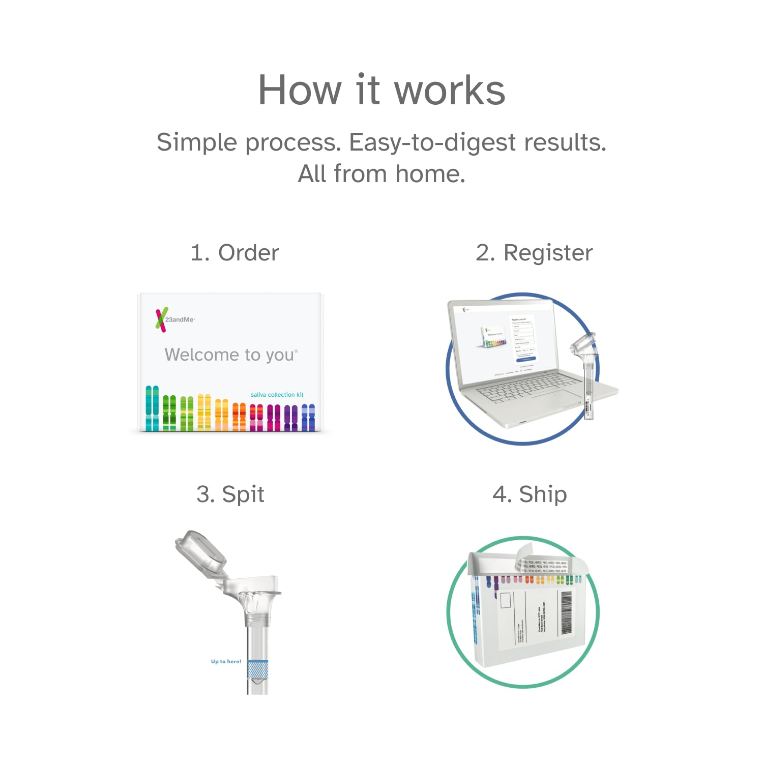 23andMe Ancestry Service - DNA Test Kit, Personalized Genetic Legacy, 4,500+ Geographic Regions, Ancestry Test, Family Tree, DNA Relative Finder, Origins, Ethnicities, Traits, Ancestry Reports