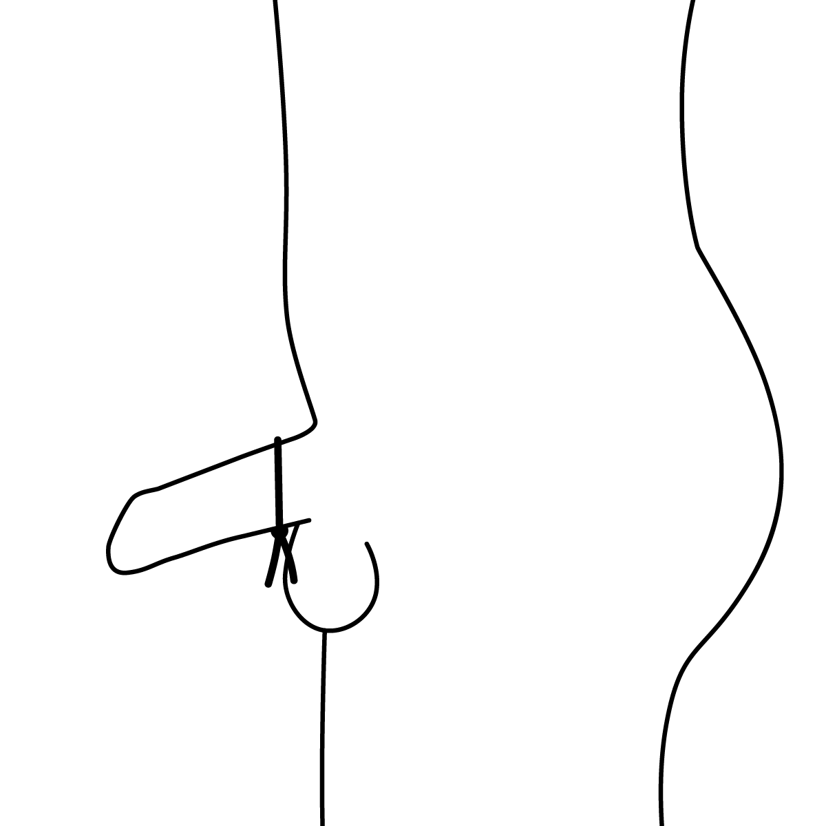 81850063