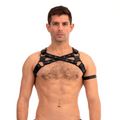 81753678