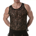 81760042
