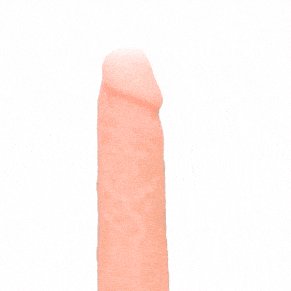 81750036