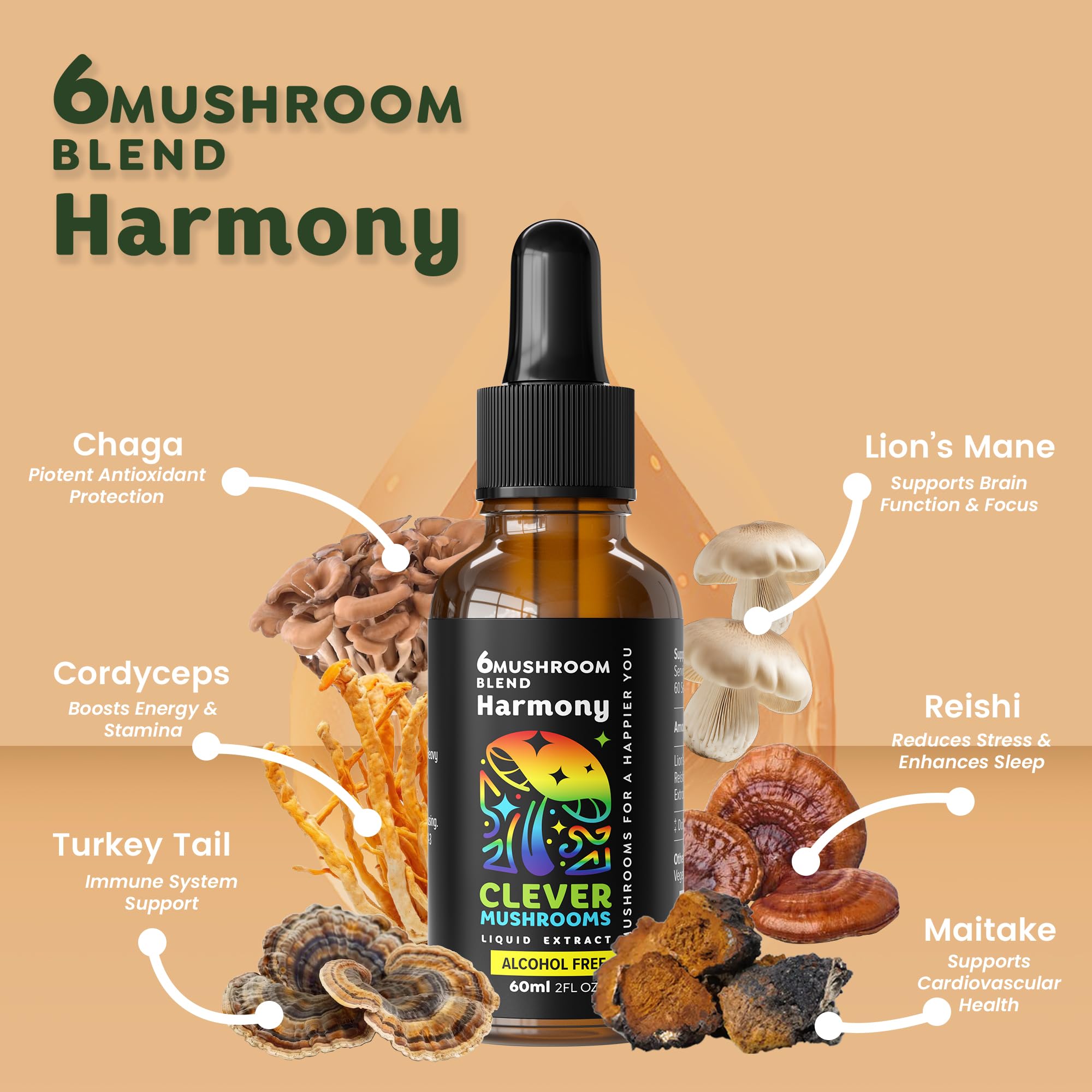 6 Blend Mushroom Liquid Extract – Alcohol-Free, US-Grown (1 fl oz)