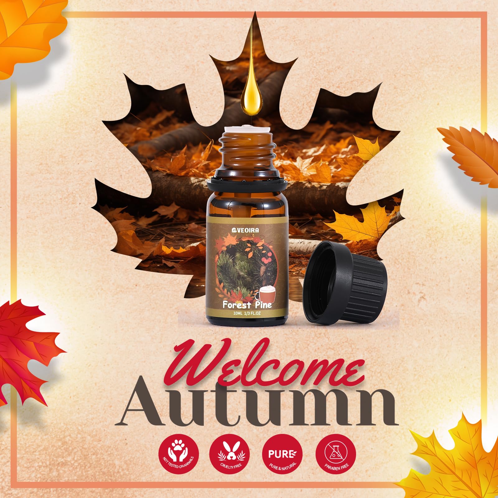 Autumn Fragrance Oils Set by AVEOIRA – 6x10mL for Diffuser, Candles & Soaps
