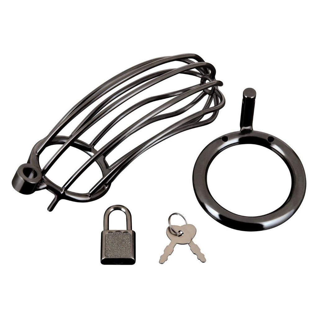 Blue Line Prisoner Cock Penis Chastity Cage Lock Key BDSM Fetish Metal Black