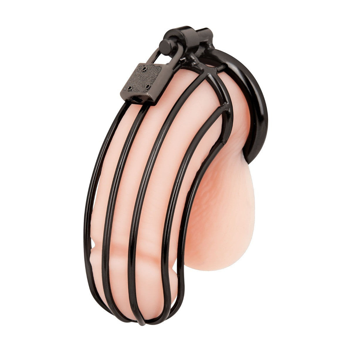 Blue Line Prisoner Cock Penis Chastity Cage Lock Key BDSM Fetish Metal Black