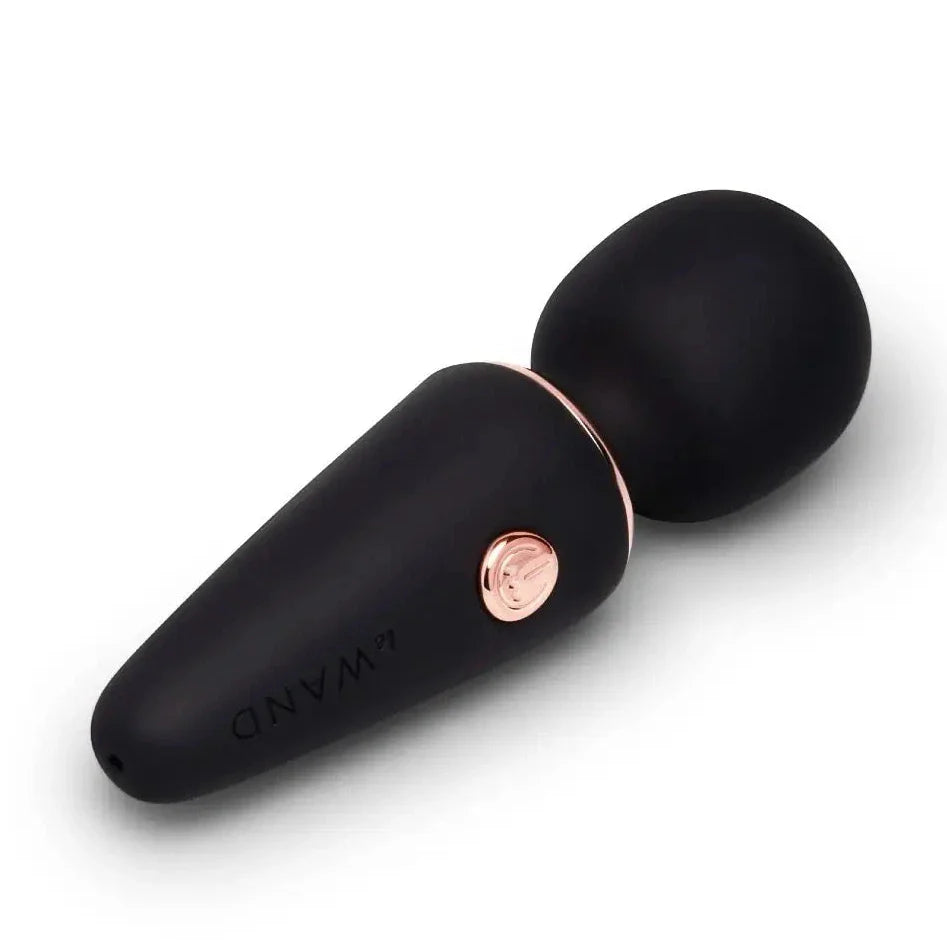 Le Wand Mini Vibe Microwand Rechargeable Silicone Vibrator Pocket Sized Massager