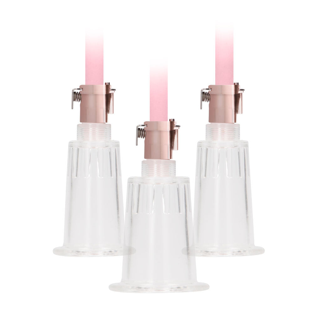 Pumped Clitoral & Nipple Pump Set Transparent Rose Gold Vacuum Suction Device