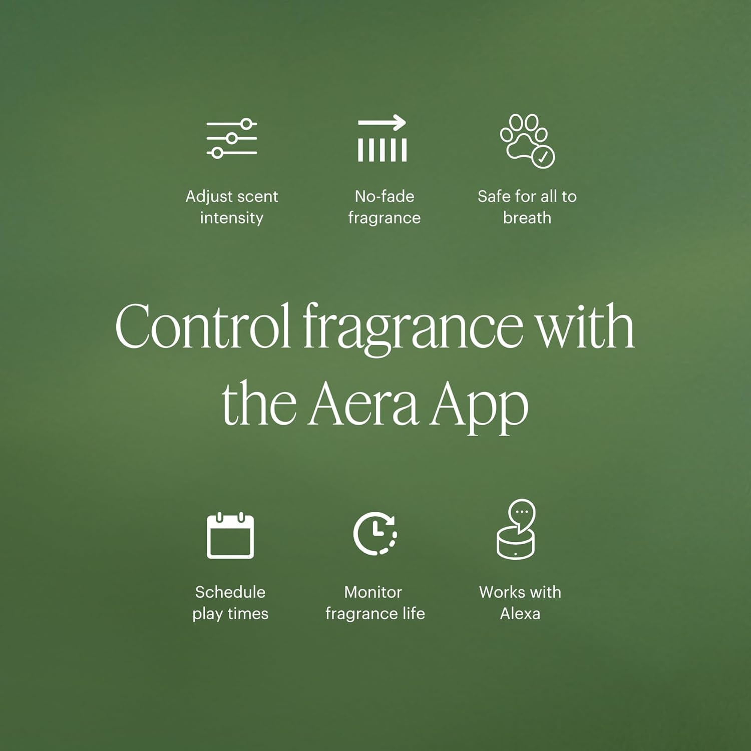 Aera Mini Rose - Essential Oil for Home | Fresh and Sensuous Floral Fragrance | Scent Refill for Mini Diffuser