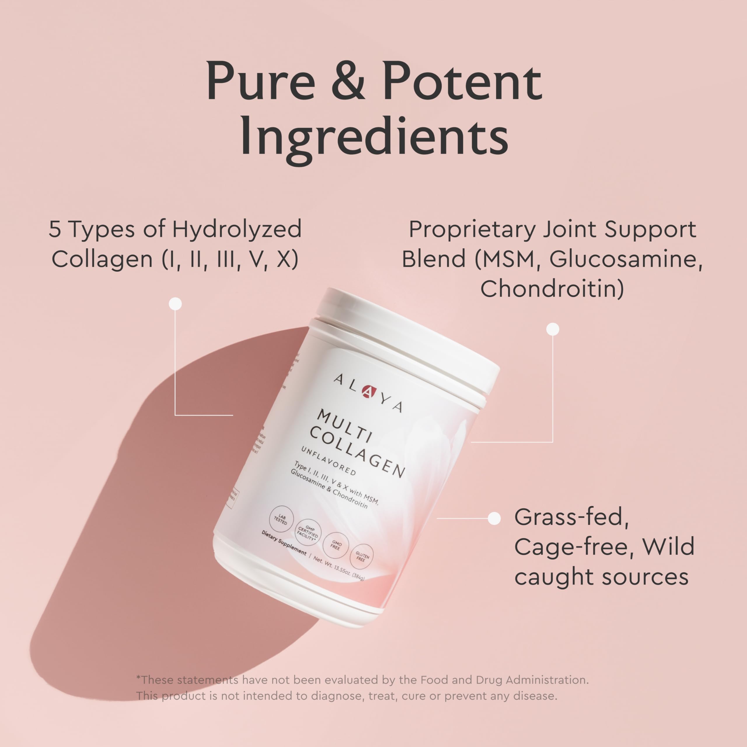 Alaya Multi Collagen Powder - Type I, II, III, V, X Hydrolyzed Collagen Peptides + MSM (Unflavored) - 40 Servings