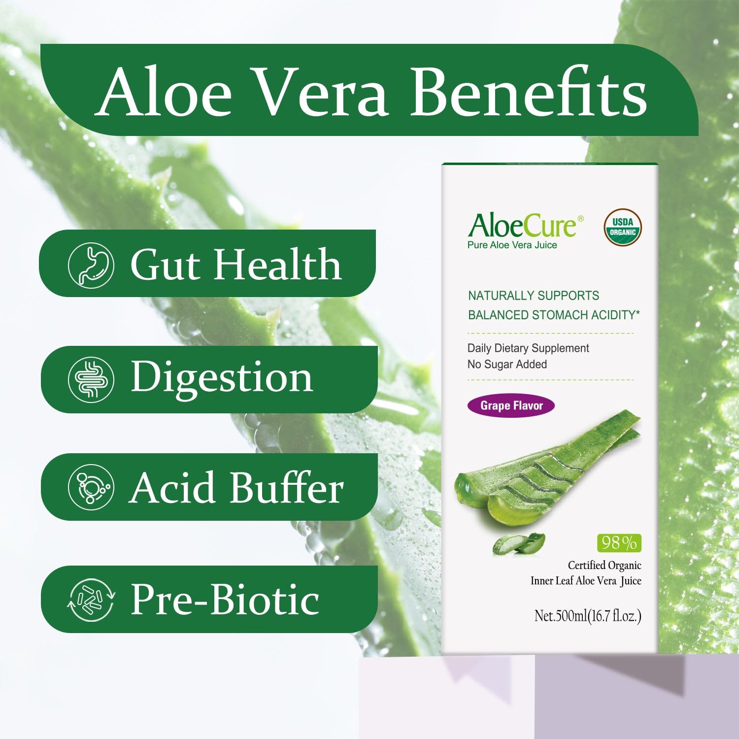 AloeCure USDA Organic Aloe Vera Juice – Grape Flavor, 16.7oz x 2 Bottles | Digestive & Immune Support