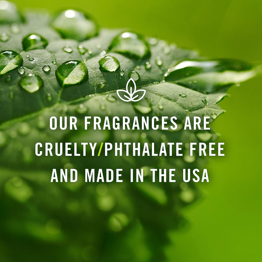 P&J Trading Fresh Cut Grass Scented Oil 100ml - Fragrance Oil for Candle Making, Soap Making & Diffusers