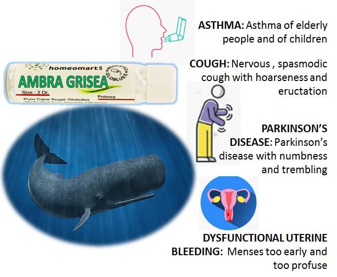Ambra Grisea Homeopathy Pellets (Pills) 30C Potency - Pack of 2 | HomeoMart