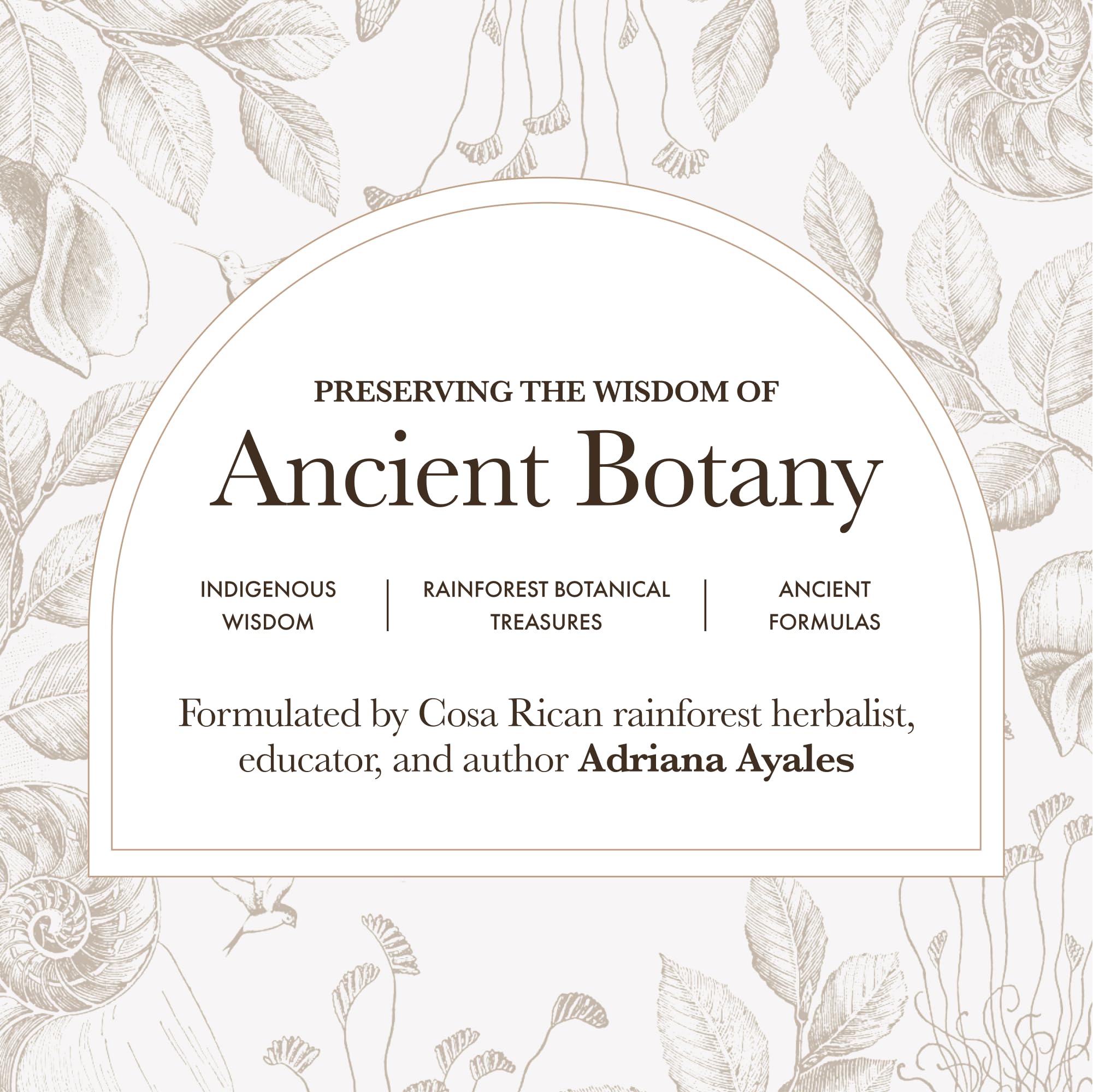 Anima Mundi Apothecary Vegan Collagen Booster Powder – Dirty Rose Chai