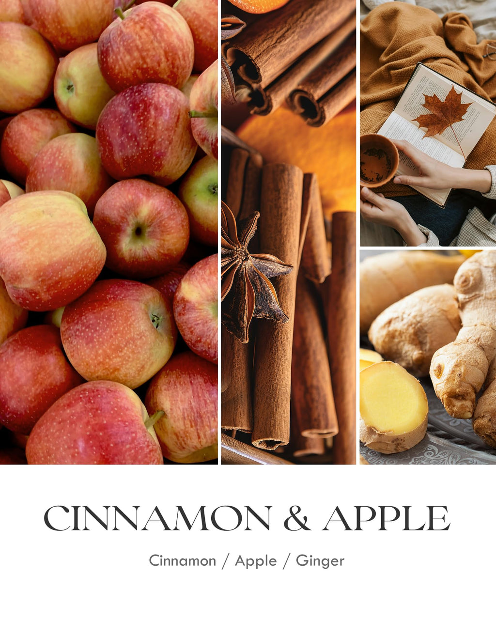 AOOVOO Apple Cinnamon Candles - 9oz Soy Scented Candle for Home & Aromatherapy
