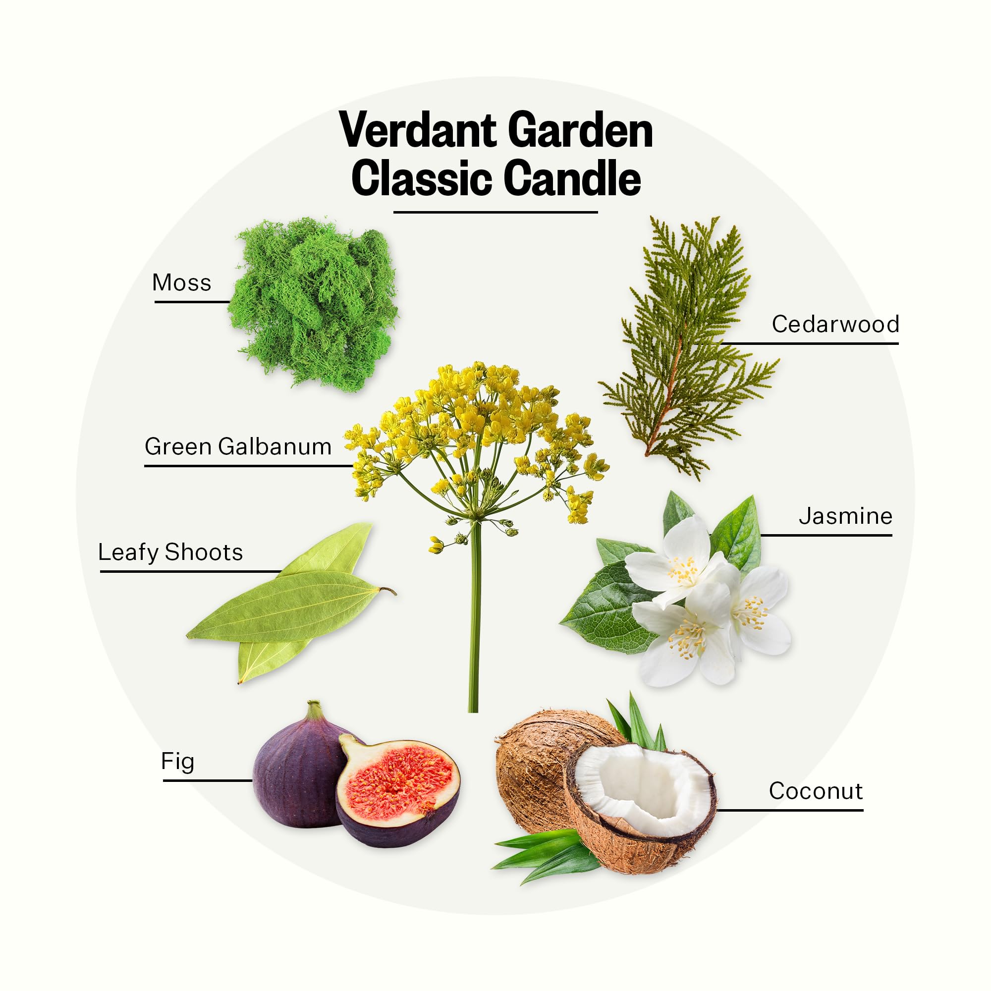 APOTHEKE Verdant Garden 10.5 oz Soy Candle | Cedarwood, Fig, Jasmine, Coconut