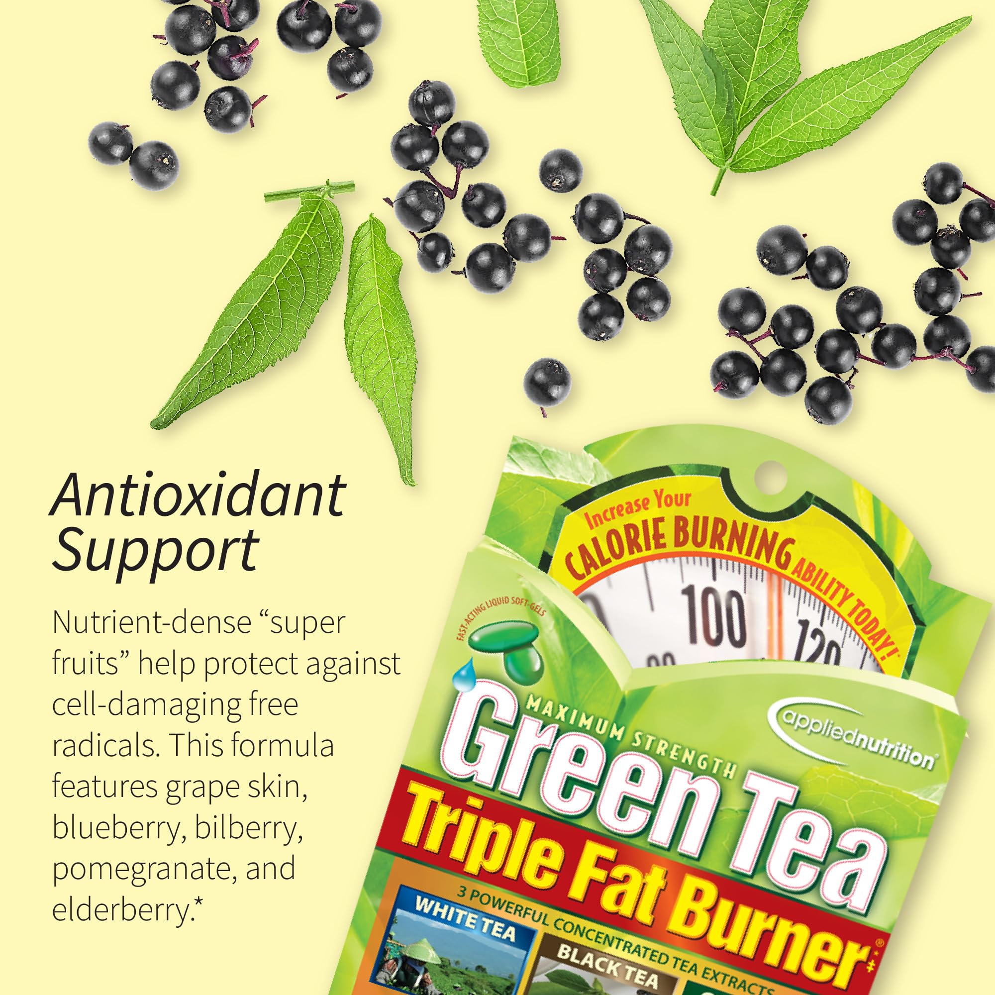 Applied Nutrition Green Tea Fat Burner – 3 Pack (30 Liquid Soft-Gels) – Increases Calorie Burning & Powerful Antioxidants – 45 Servings
