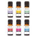 Aromatherapy Kits by Revive Essential Oils - Basics Kit (100% Pure Therapeutic Grade)