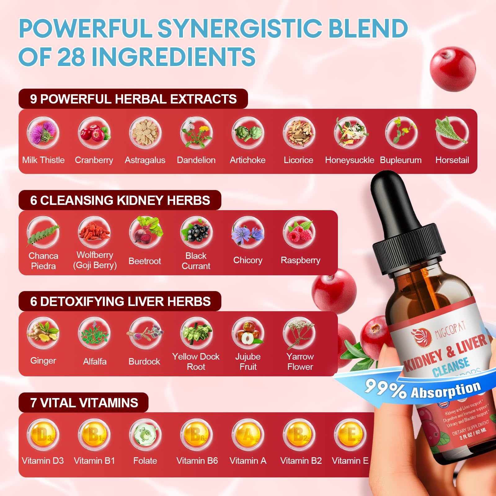 Kidney & Liver Cleanse Detox & Repair Drops – 2 Pack (60ml Each) | Cranberry & Milk Thistle