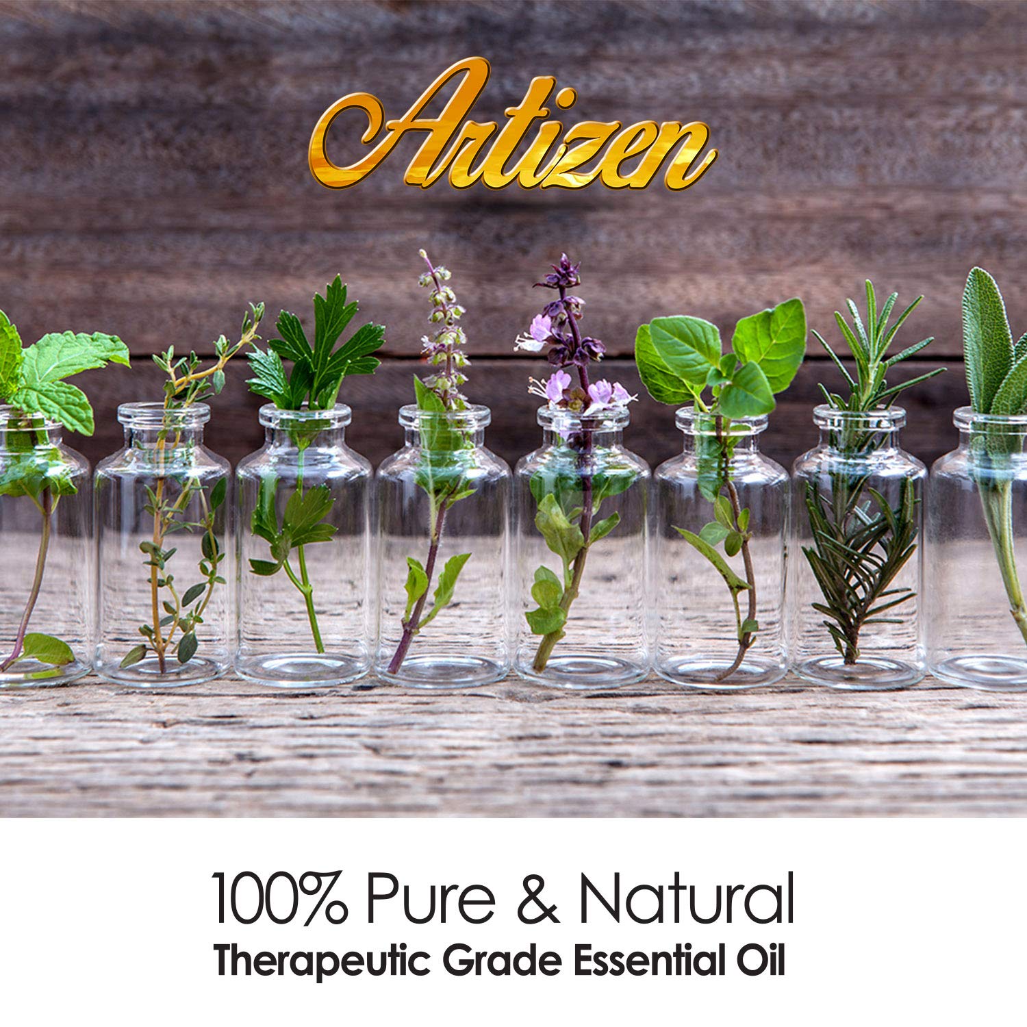 Artizen Birch Essential Oil - 2 oz (2 Fluid Ounces) - 100% Pure & Natural