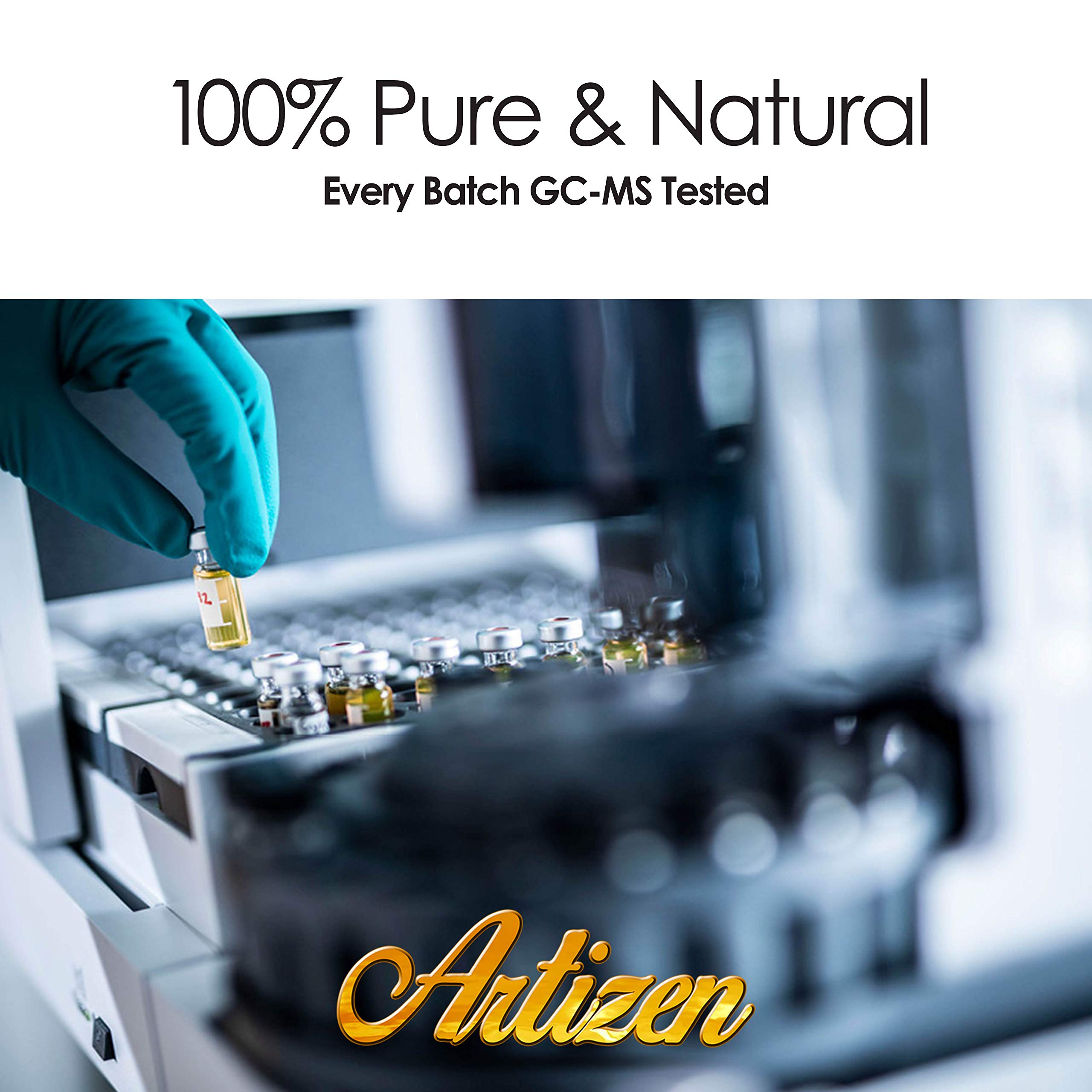 Artizen Cinnamon Essential Oil - 2 oz | 100% Pure, Undiluted