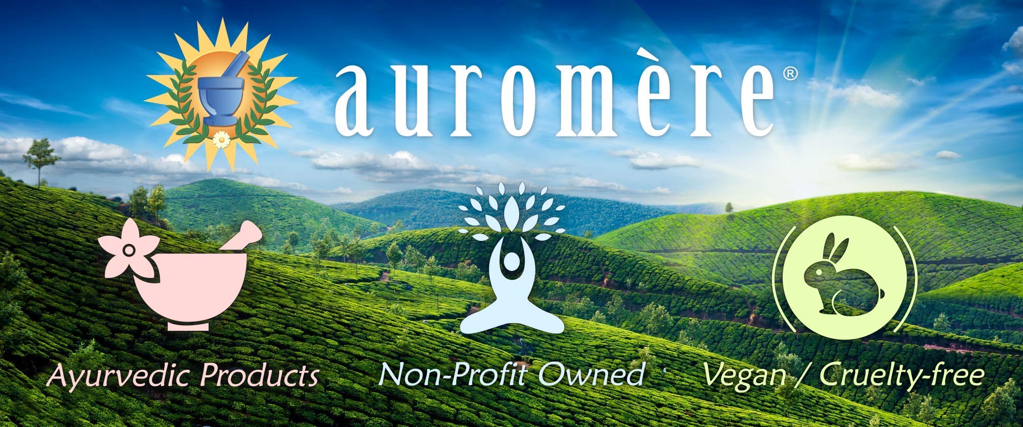 Auromere Ayurvedic Cinnamon Toothpaste - Vegan, Fluoride Free, Neem & Peelu, 2-Pack