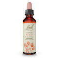 Bach Aspen Flower Remedy – Feel Secure | 20mL Dropper – Vegan, Gluten Free
