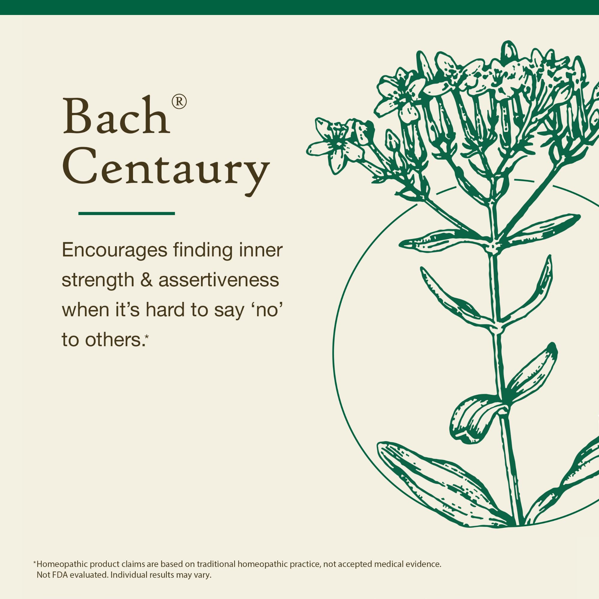 Centaury Bach Original Flower Remedies – Be Assertive (20mL Dropper)