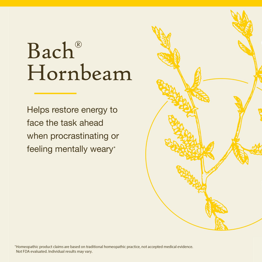 Bach Hornbeam Flower Remedy – Procrastinate Less | Natural Homeopathic Essence