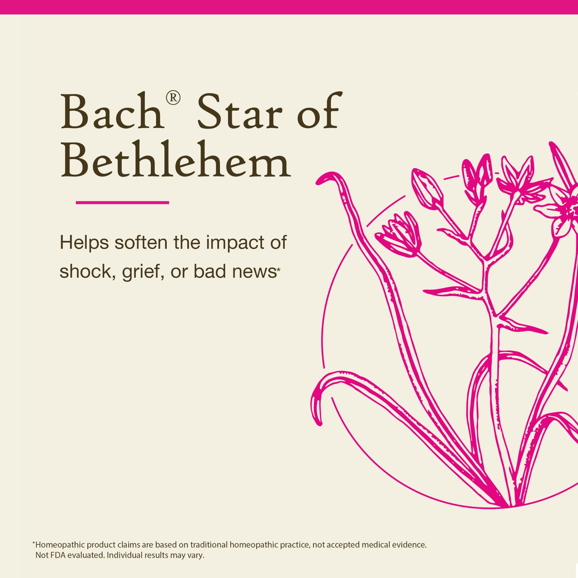 Star of Bethlehem - Bach Original Flower Remedy for Grief (20mL) - Vegan