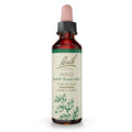 Bach Original Flower Remedies Holly – Goodwill Towards Others | 20mL Dropper