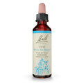 Bach Original Flower Remedies Vine – Motivate Not Dominate – 20mL Dropper