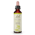 Bach Original Flower Remedies: Wild Rose - Show Enthusiasm | 20mL Dropper