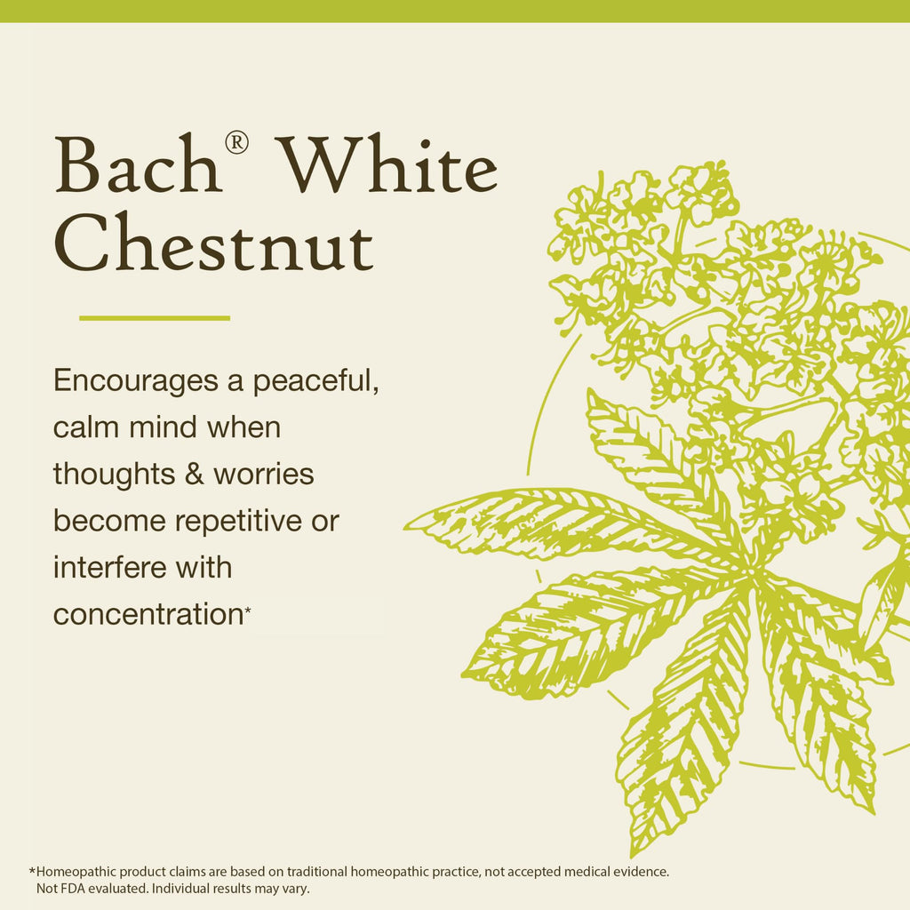 Bach White Chestnut Original Flower Remedies – Calm The Mind (20mL)
