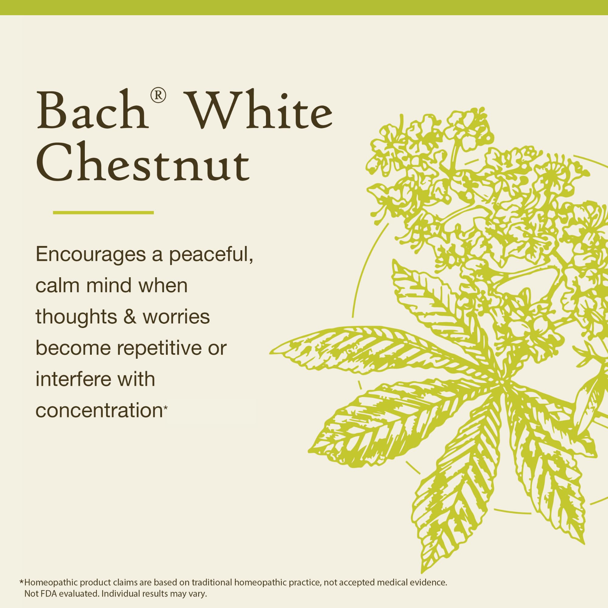 Bach White Chestnut Original Flower Remedies - Calm The Mind (20mL) | Vegan