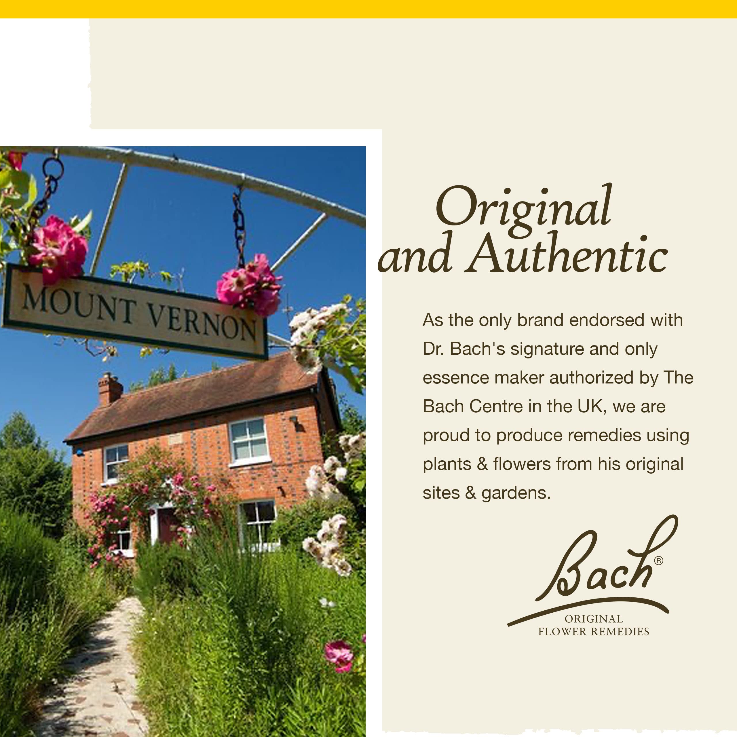 Bach Gorse Original Flower Remedies – Have Hope | 20mL Dropper