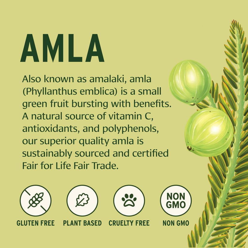 Banyan Botanicals Amla (Amalaki) Powder – Organic Amla, 3.5oz | Vitamin C & Antioxidants
