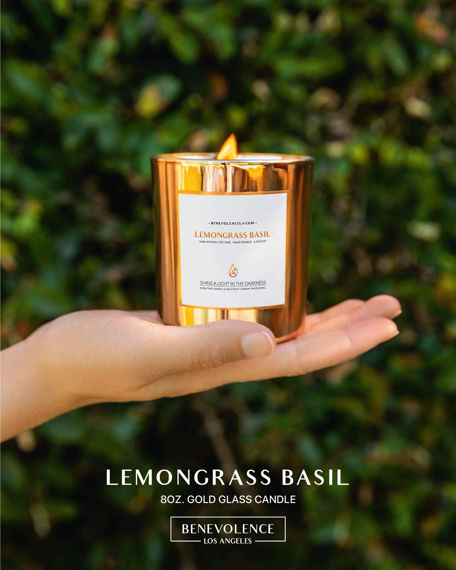Benevolence LA Lemongrass & Basil Soy Candle - Wood Wick, 8oz | 45 Hour Burn