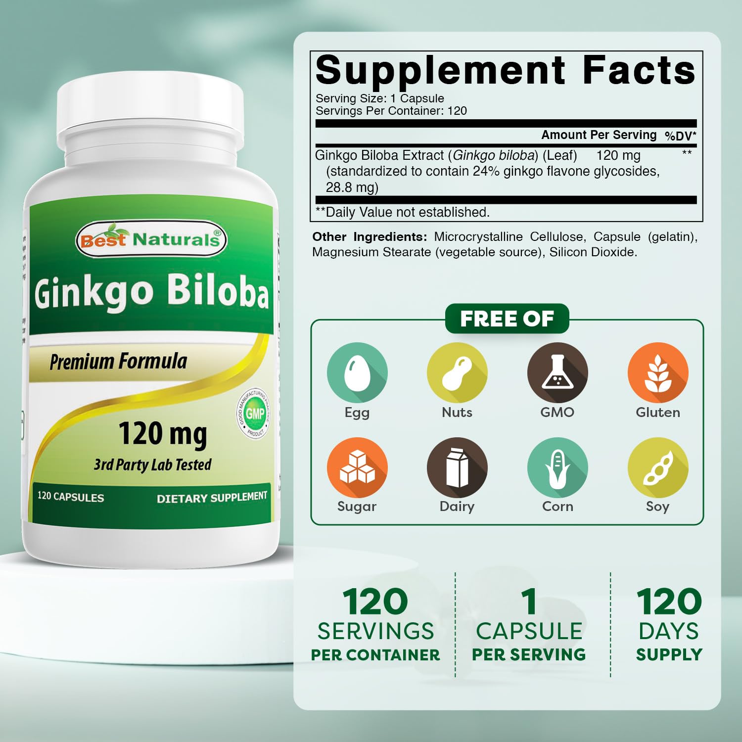 Best Naturals Ginkgo Biloba 120 mg 120 Capsules