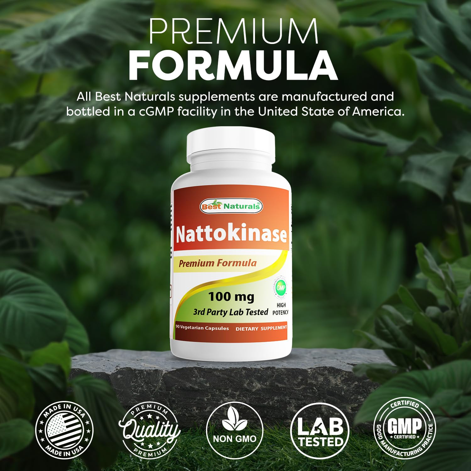 Best Naturals Nattokinase 2000 FU | 100 mg per Capsule, 90 Vegetarian Capsules (Pack of 2)