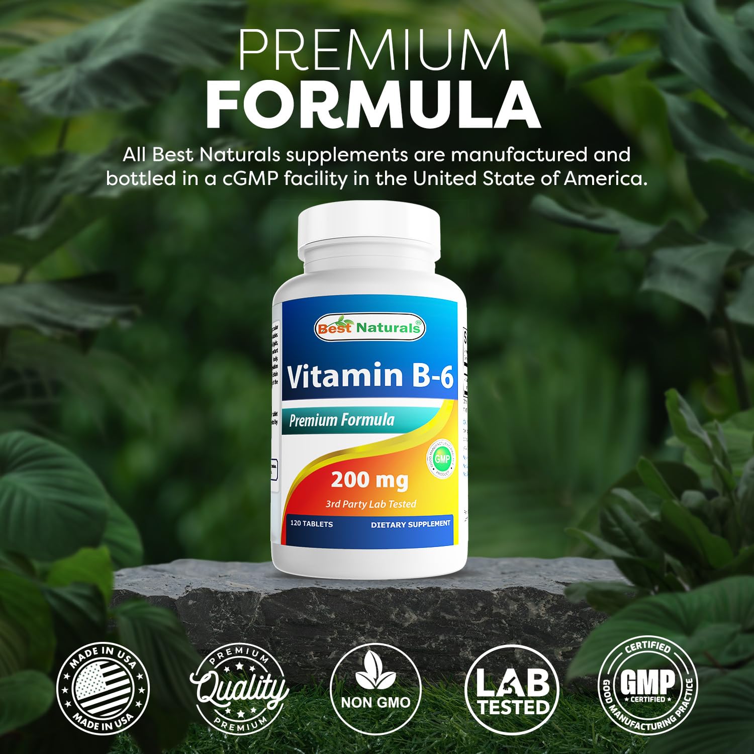 Best Naturals Vitamin B6 200mg for Adults – 120 Tablets (Pack of 2)