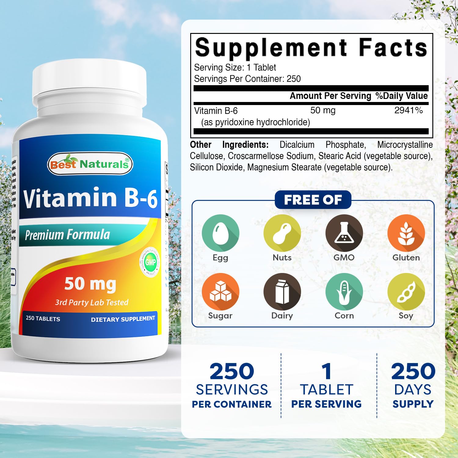 Best Naturals Vitamin B6 50 mg - 250 Tablets