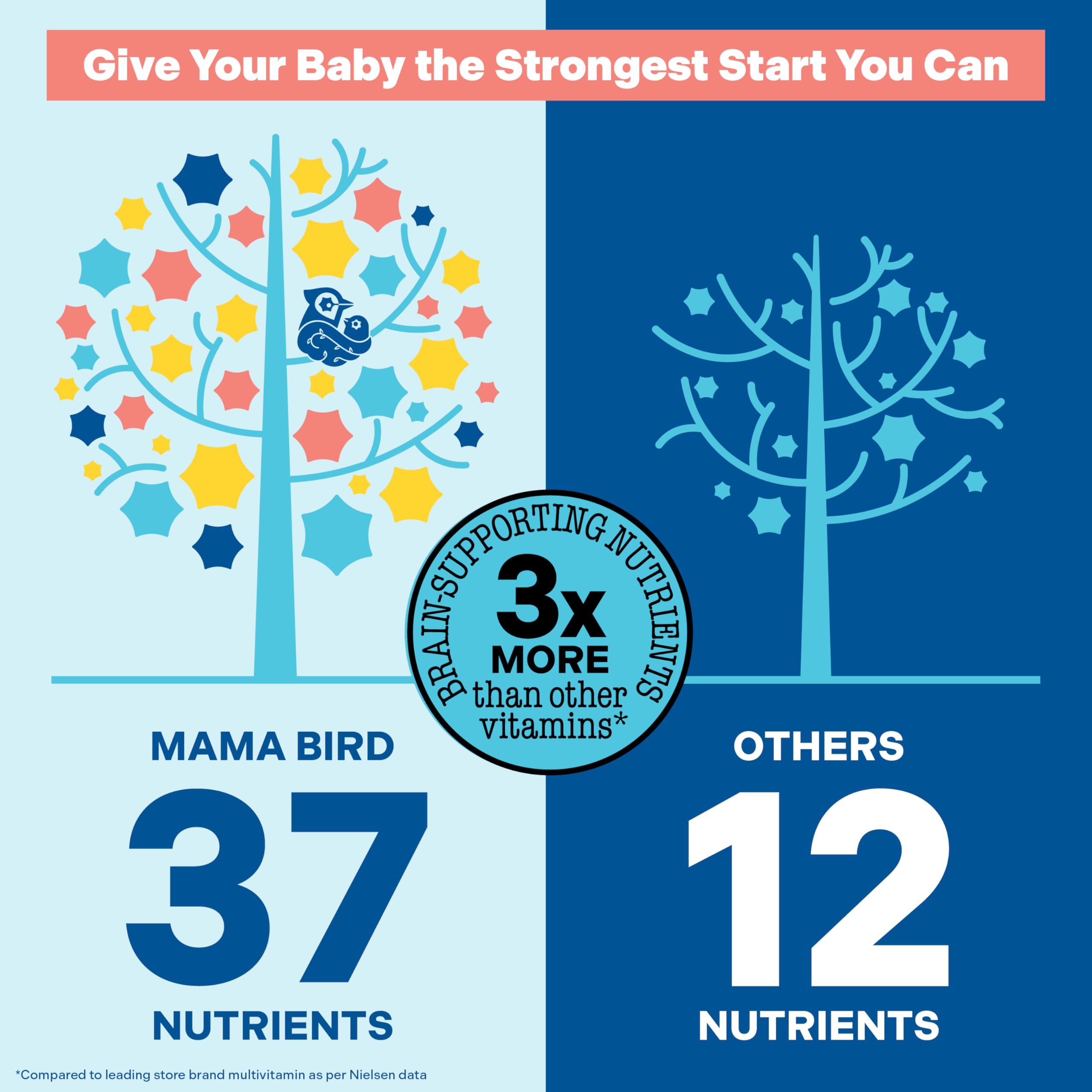 Best Nest Wellness Mama Bird Prenatal Multi+ No Iodine or Iron – 30 Servings, Brain-Ready Prenatal Vitamins