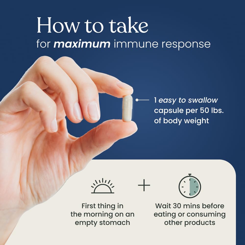 Better Way Health™ Advanced Immune Readiness — Beta Glucan 500 (Pack of 3)