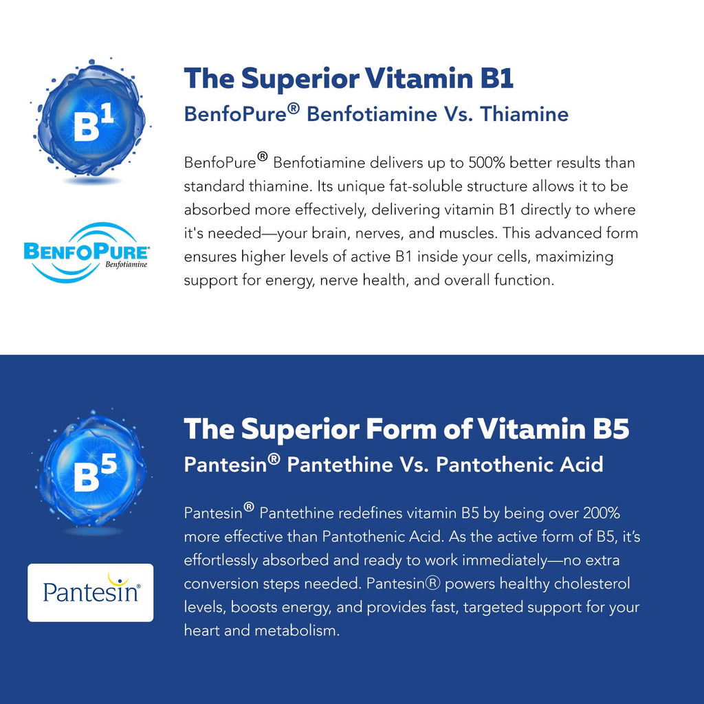 BioActive Vitamin B Complex – Bloodstream-Ready, Methylated B Vitamins, 60 Servings