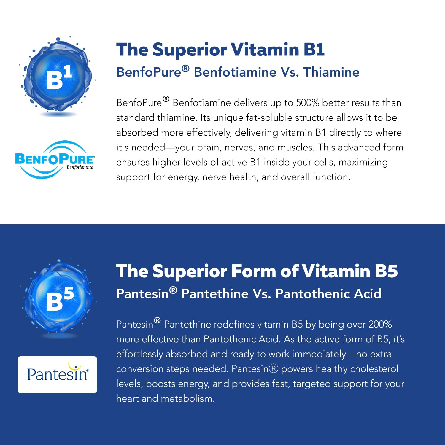 BioActive Vitamin B Complex – Bloodstream-Ready, Methylated B Vitamins, 60 Servings