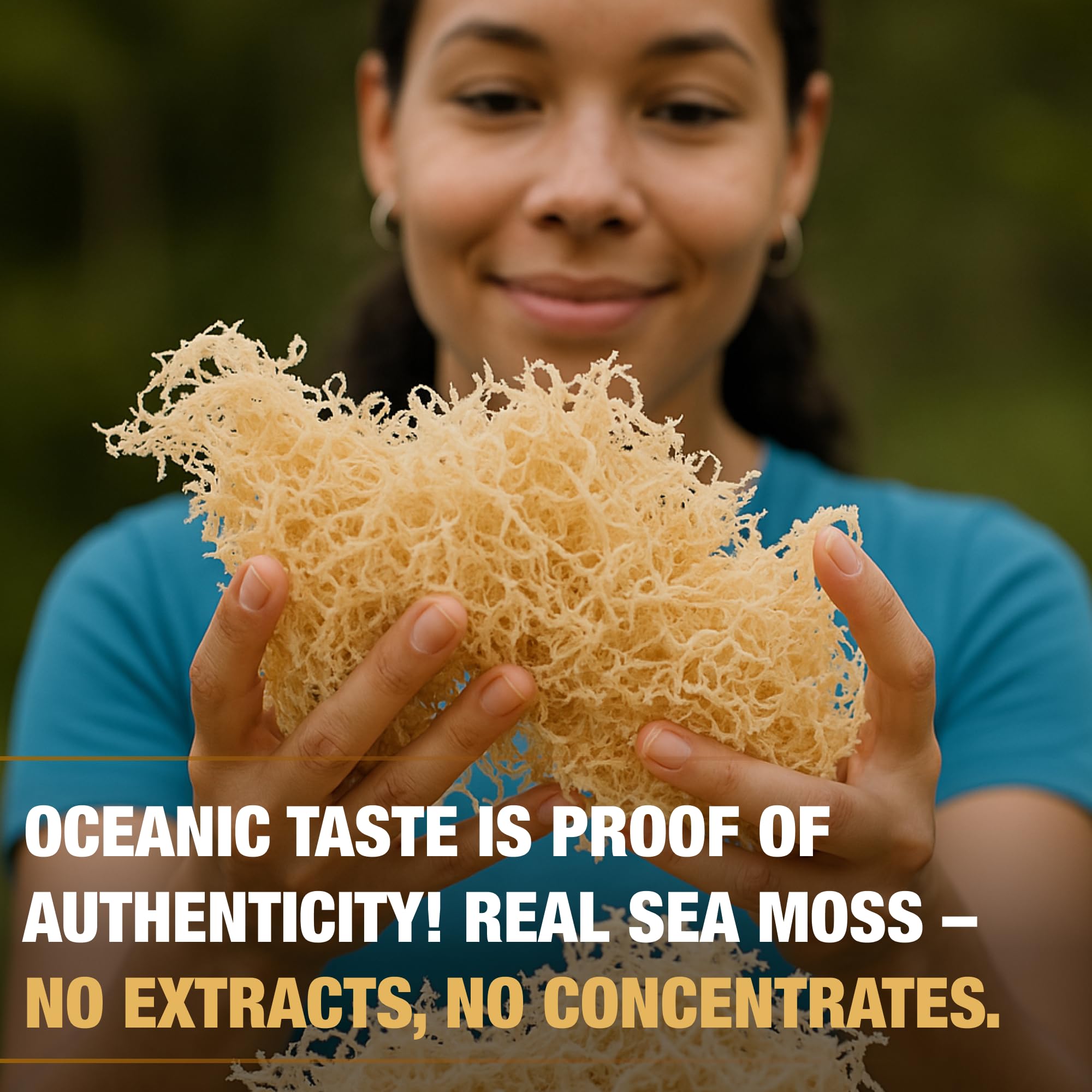Biolore Sea Moss Gel with Propolis - Apple & Cinnamon, 16 oz | Vegan, Gluten-Free, No Added Sugar