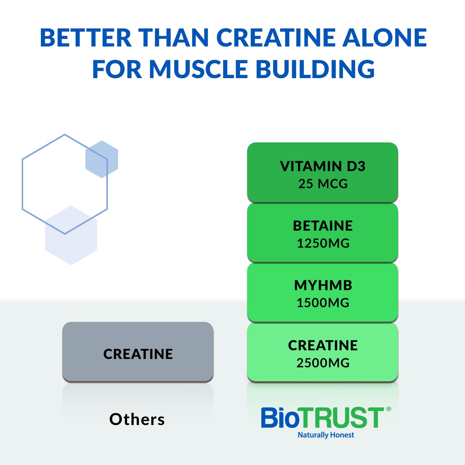 BioTrust Ageless Muscle Builder - Creatine HMB Powder with Vitamin D3 & Betaine - Unflavored, 30 Servings