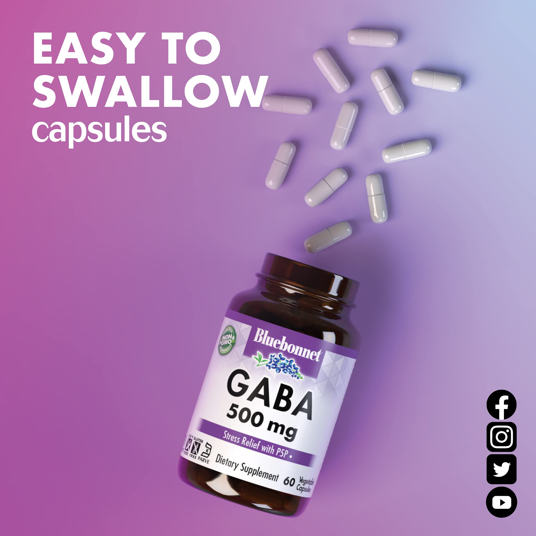 BlueBonnet GABA 500 mg | Stress Relief & Relaxation | 120 Veg Capsules