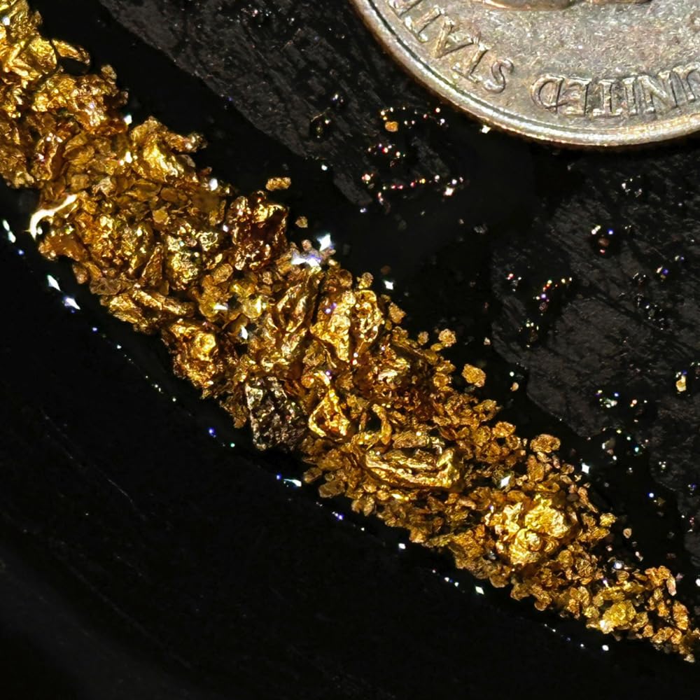 Bobby Nugget Gold Paydirt – 1 Gram Gold in Every Bag | Gold Prospecting