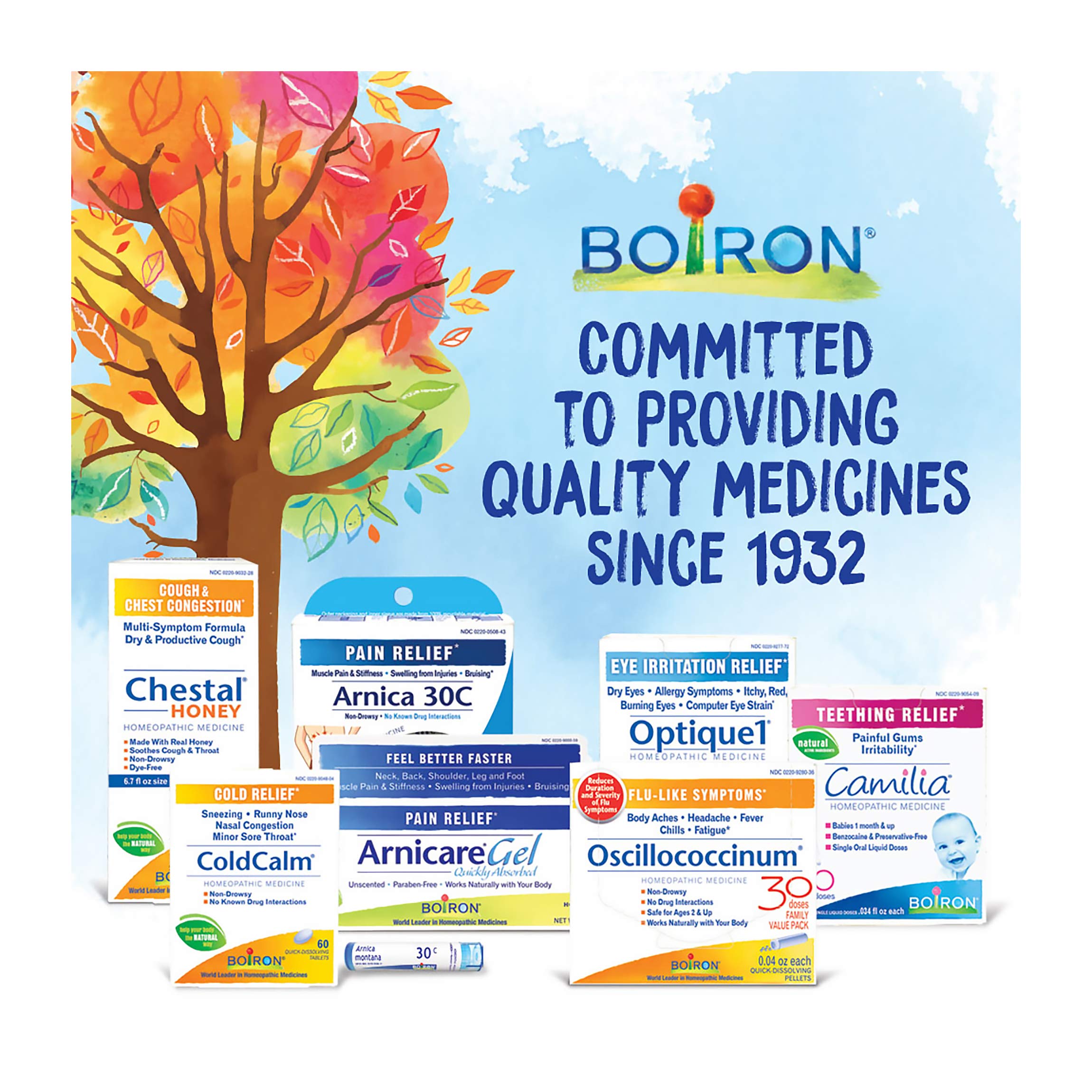Boiron Coffea Cruda Homeopathic Sleep Aid - 3 Pack (240 Pellets)